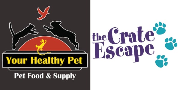 Dog Package - $247 value